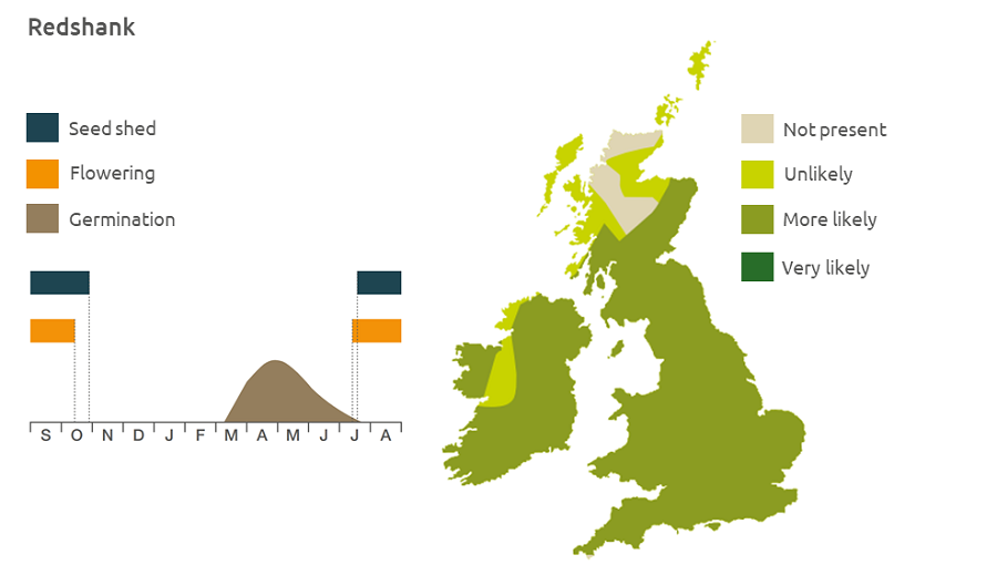 Redshank life cycle and UK distribution